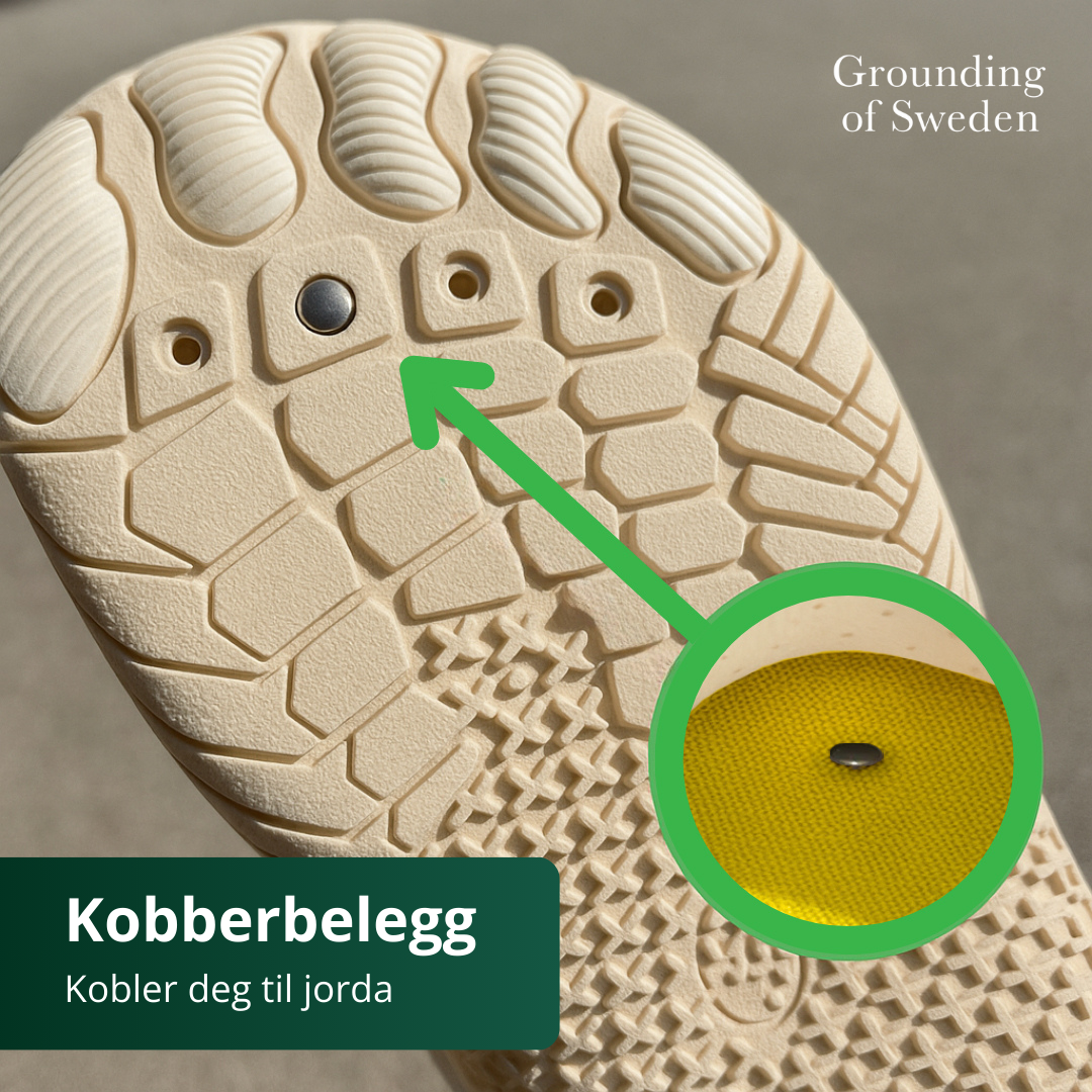 Føl Deg Best Hele Dagen Med Våre Jordingssko 2.0
