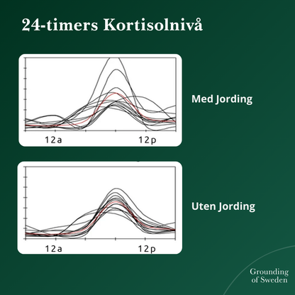 Føl Deg Best Hele Dagen Med Våre Jordingssko