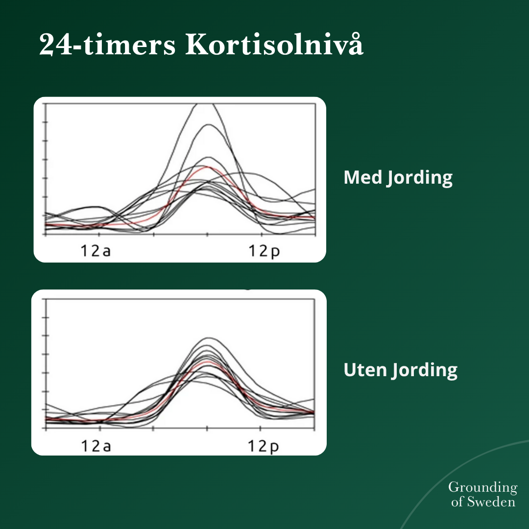 Føl Deg Best Hele Dagen Med Våre Jordingssko 2.0