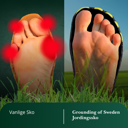 Føl Deg Best Hele Dagen Med Våre Jordingssko 2.0